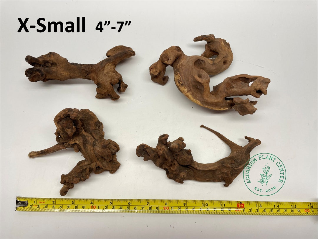 Bog Wood / Aquarium Décor / Terrarium / Reptile Tank / Etsy