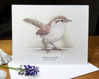 Bewick's Wren, Thyromanes bewickii, Blank Note Card