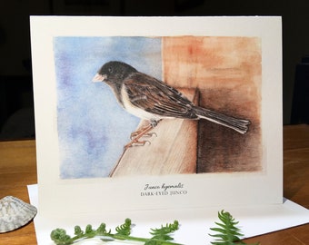 Dark-Eyed Junco, Junco hyemalis, Blank Note Card