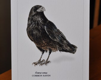 5x7 Giclee Print of Common Raven (full body), Corvus corax