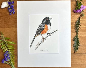 斑点のあるトウヒチョウのアートプリント、マット加工のジクレー版画、鳥のイラスト（8x10）