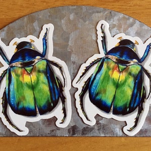 K&ouml;nnte beinhalten: Zwei bunte K&auml;fer-Aufkleber mit einem gr&uuml;n, blau und gelb schillernden Panzer. Die Aufkleber befinden sich auf einem silbernen Hintergrund.