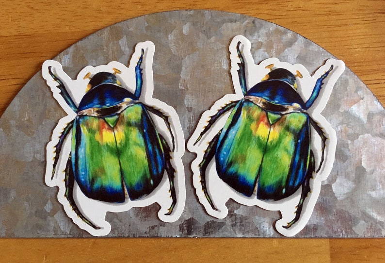 K&ouml;nnte beinhalten: Zwei bunte K&auml;fer-Aufkleber mit einem gr&uuml;n, blau und gelb schillernden Panzer. Die Aufkleber befinden sich auf einem silbernen Hintergrund.