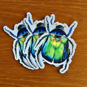 K&ouml;nnte beinhalten: Drei bunte K&auml;fer-Aufkleber mit einem gr&uuml;n-blau-gelben, schillernden Design. Die Aufkleber befinden sich auf einer Holzoberfl&auml;che und zeigen die Website-Adresse des K&uuml;nstlers.
