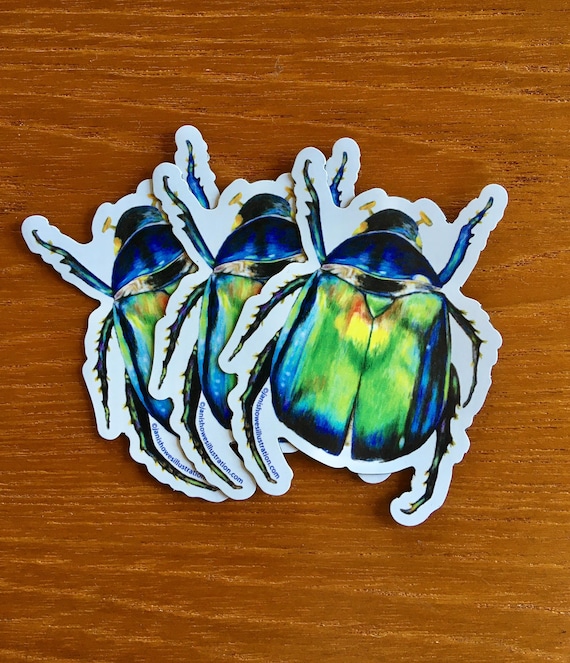 Scarab Beetle Vinyl Magnet, Colorful Insect Art (3 Inch)