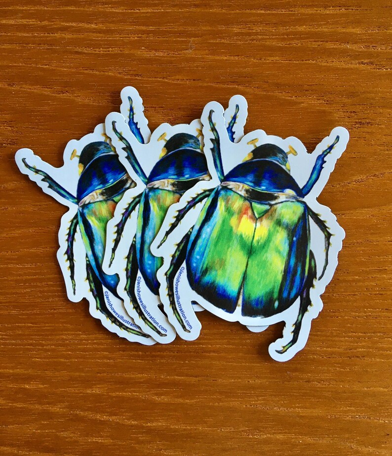K&ouml;nnte beinhalten: Drei bunte K&auml;fer-Aufkleber mit einem gr&uuml;n-blau-gelben, schillernden Design. Die Aufkleber befinden sich auf einer Holzoberfl&auml;che und zeigen die Website-Adresse des K&uuml;nstlers.
