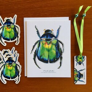 K&ouml;nnte beinhalten: Ein Satz gr&uuml;ner und blauer K&auml;fer-Aufkleber, eine Karte mit einer Illustration eines gr&uuml;nen und blauen K&auml;fers und ein Lesezeichen mit zwei K&auml;fer-Illustrationen. Die Karte tr&auml;gt den Text "Mimela splendens, Buntk&auml;fer".