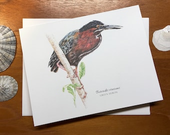 Green Heron, Blank Note Card, 5.5"x4.25"