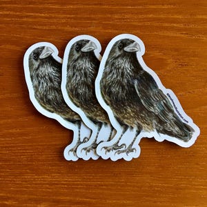 以下が含まれることがあります： 鳥の細かなイラストが描かれた黒いカラスのステッカーが3つ。ステッカーは木製の表面に貼られています。