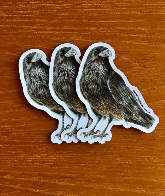 Common Raven Vinyl Magnet
