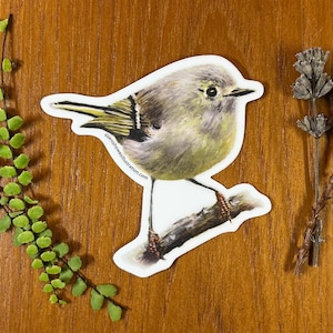 May include: A sticker featuring a detailed illustration of a small bird perched on a branch. The bird has gray, yellow, and green feathers. The sticker is on a wooden surface, with sprigs of greenery and dried flowers nearby. The text "@janishowesillustration.com" is visible.