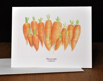 4.25x5.5 Carrots, Daucus carota Blank Note Card