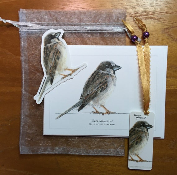 5x7 Giclee Print of Male House Sparrow
