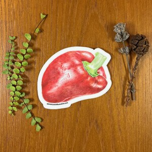 Sticker rode paprika gestanst vinyllaminaat