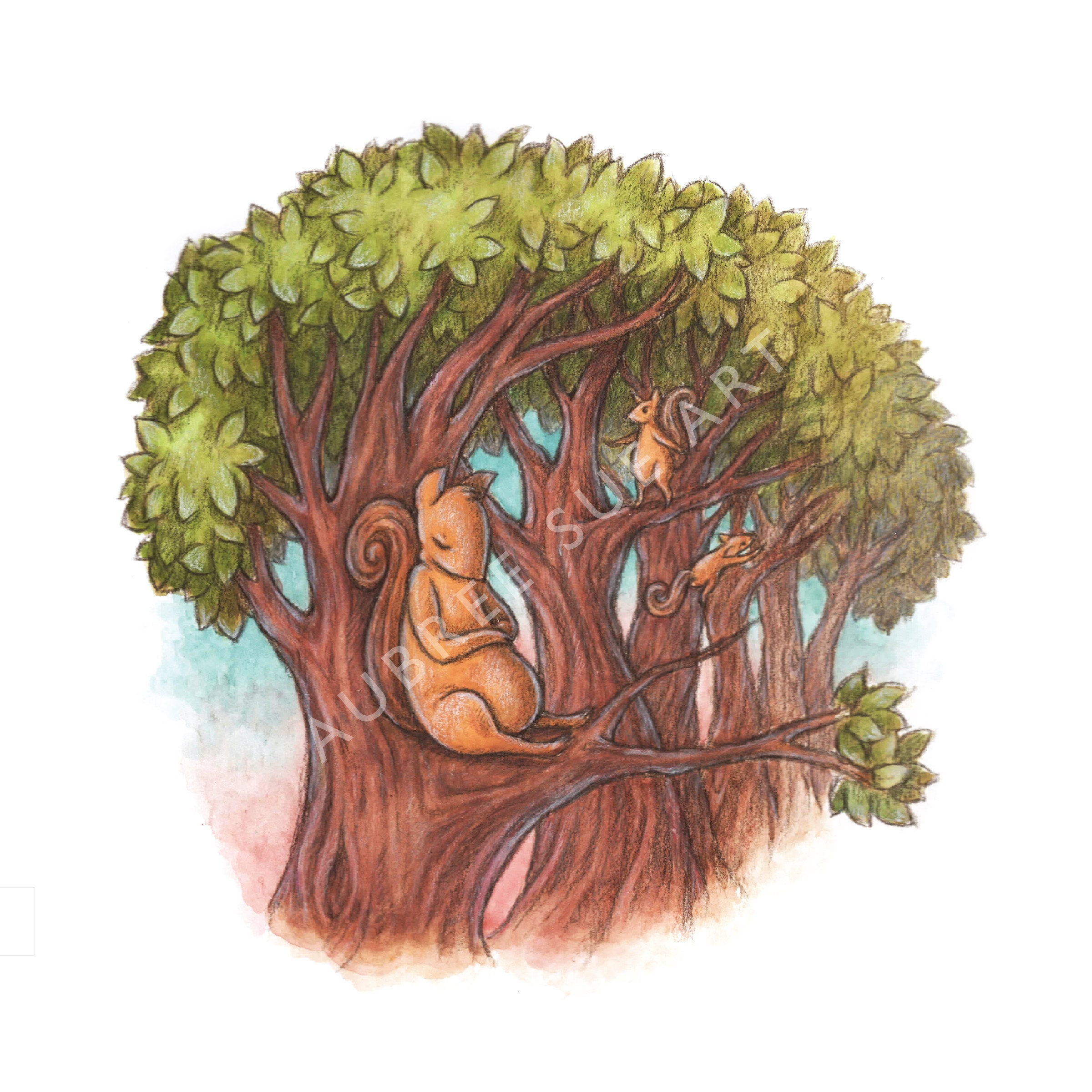 The Ultimate Guide To Squirrel Napping Habits - 6yvi6qw