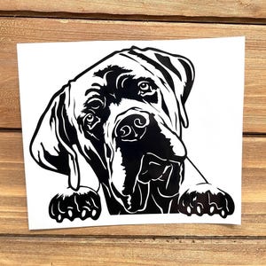 Cane Corso Dog Decal - Peeking Cane Corso - Cane Corso Sticker - Dog Decal - Dog Sticker