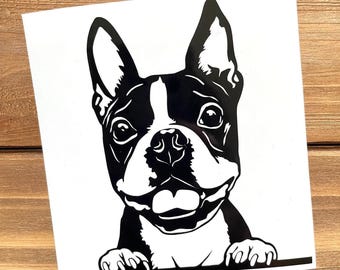 Boston Terrier Decal - Peeking Boston Terrier - Boston Terrier Sticker - Dog Decal - Dog Sticker