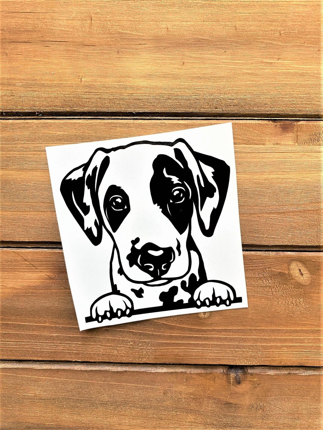 Dalmatian Decal Peeking Dalmatian Decal Dalmatian Sticker Etsy
