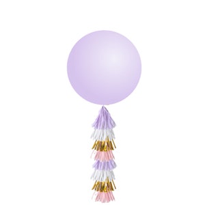 Pastel Tassel Balloon Weight Tail 6ft