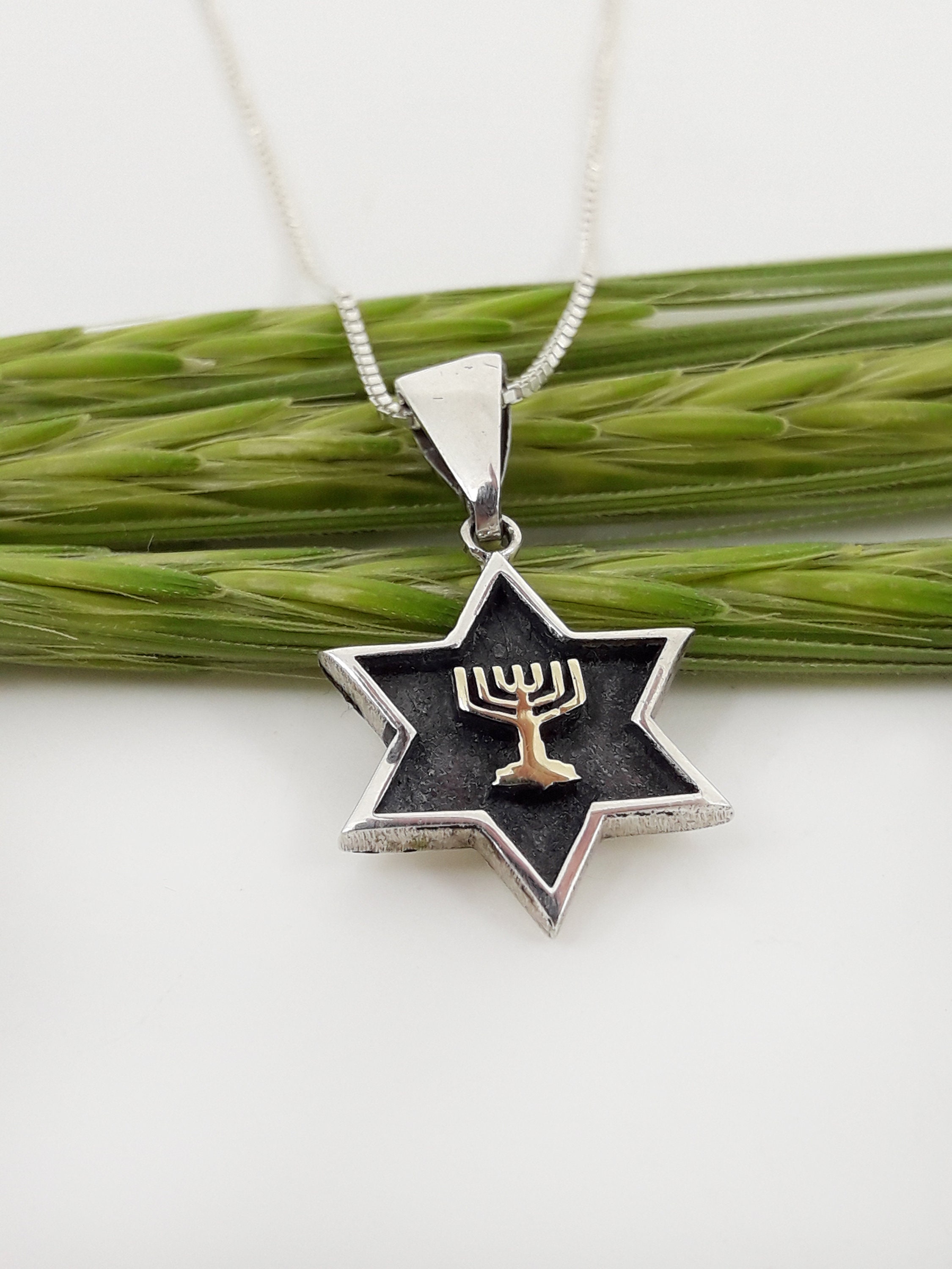 Jüdische Stern Halskette David Stern Halskette jüdischen Etsy