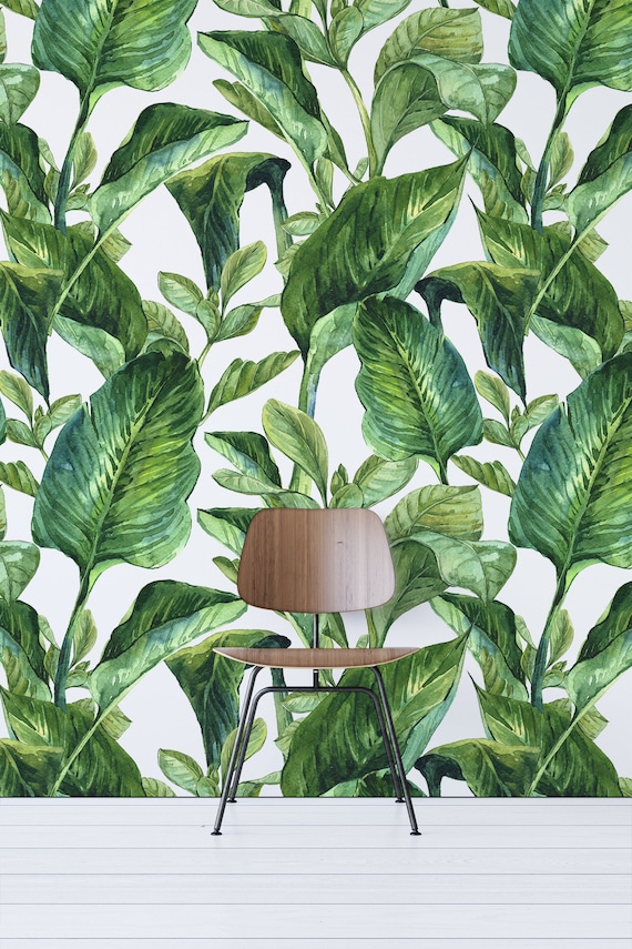Botanical #3 Banana leaves wall decor Large Banana leaf wallpaper Floral mural Removable wall art prints leaves