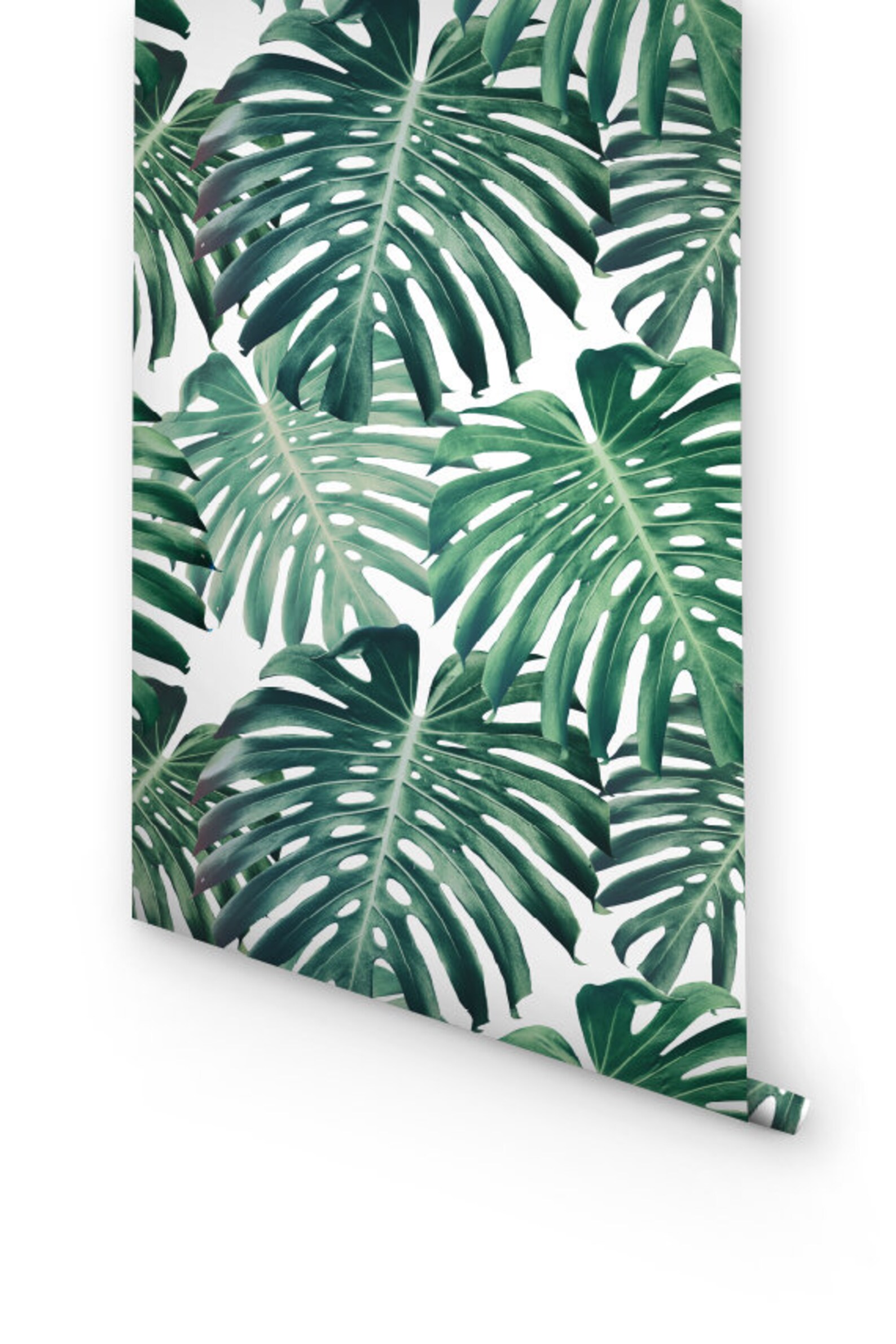 Monstera Peel and Stick Wallpaper Tropical Leaf Prints - Etsy