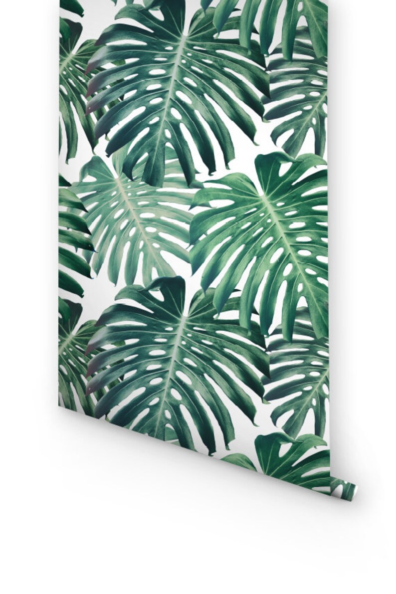 Monstera Peel and Stick Wallpaper Tropical Leaf Prints Etsy