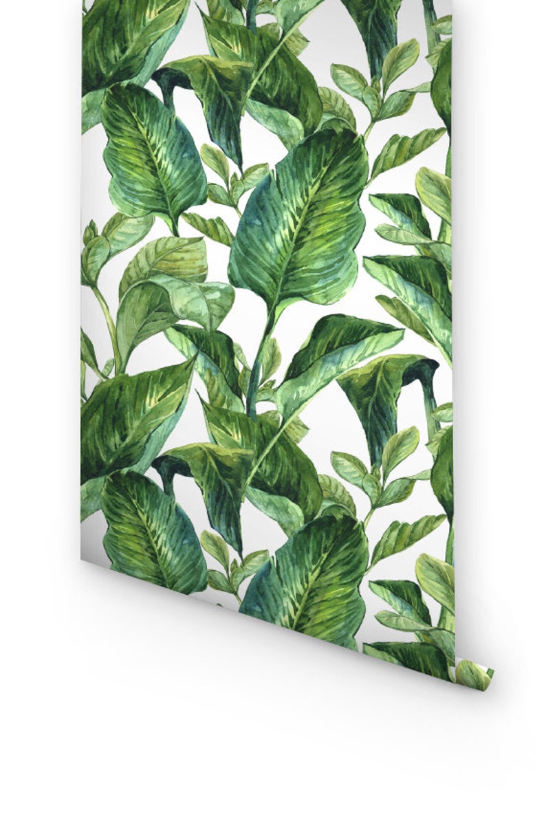 Tropical wallpaper, Leaves peel stick wallpaper, Palm leaves wallpaper, Tropical wall mural, Palm leaves removable wallpaper, WFL023 image 7