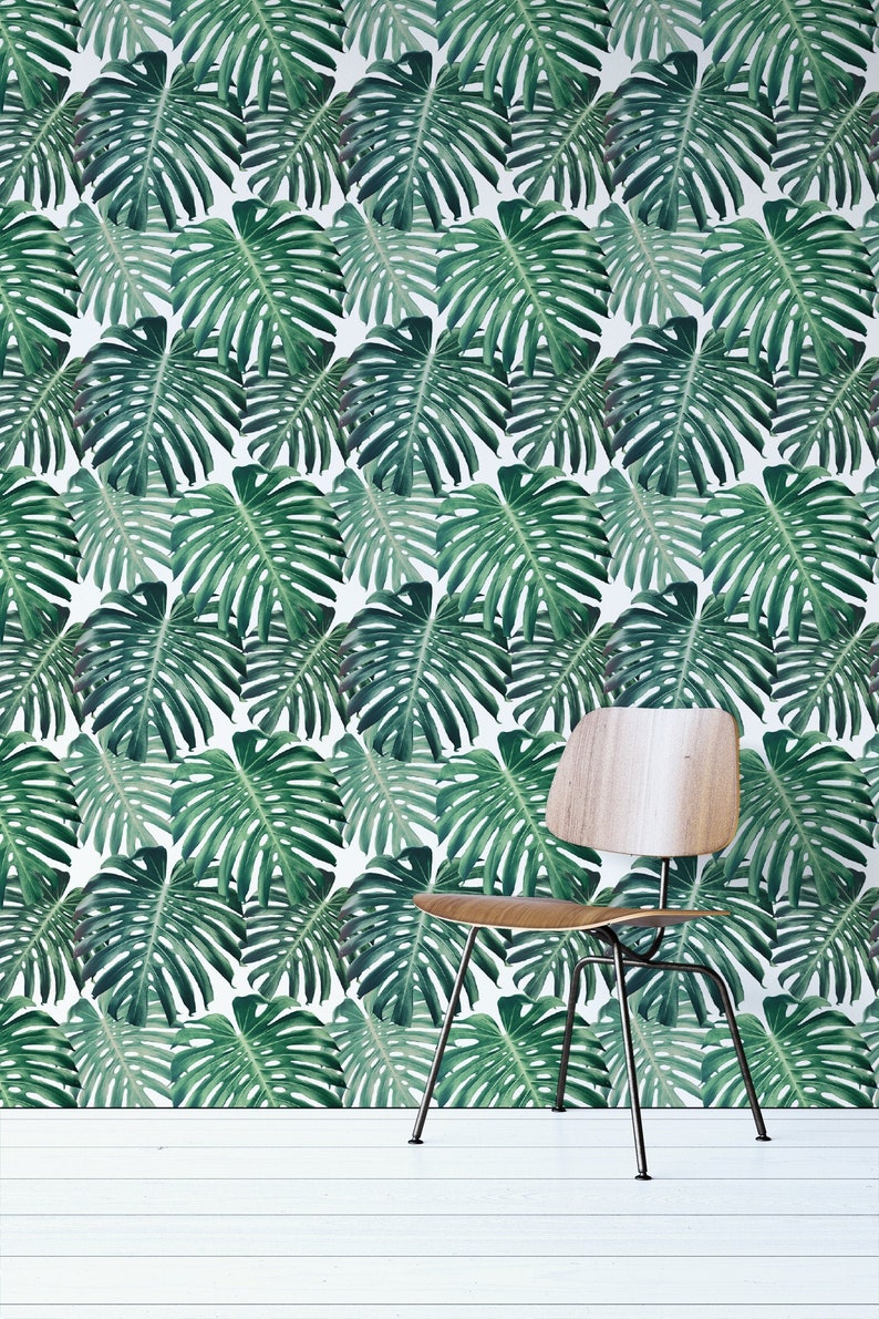 Monstera Peel and Stick Wallpaper Tropical Leaf Prints Etsy