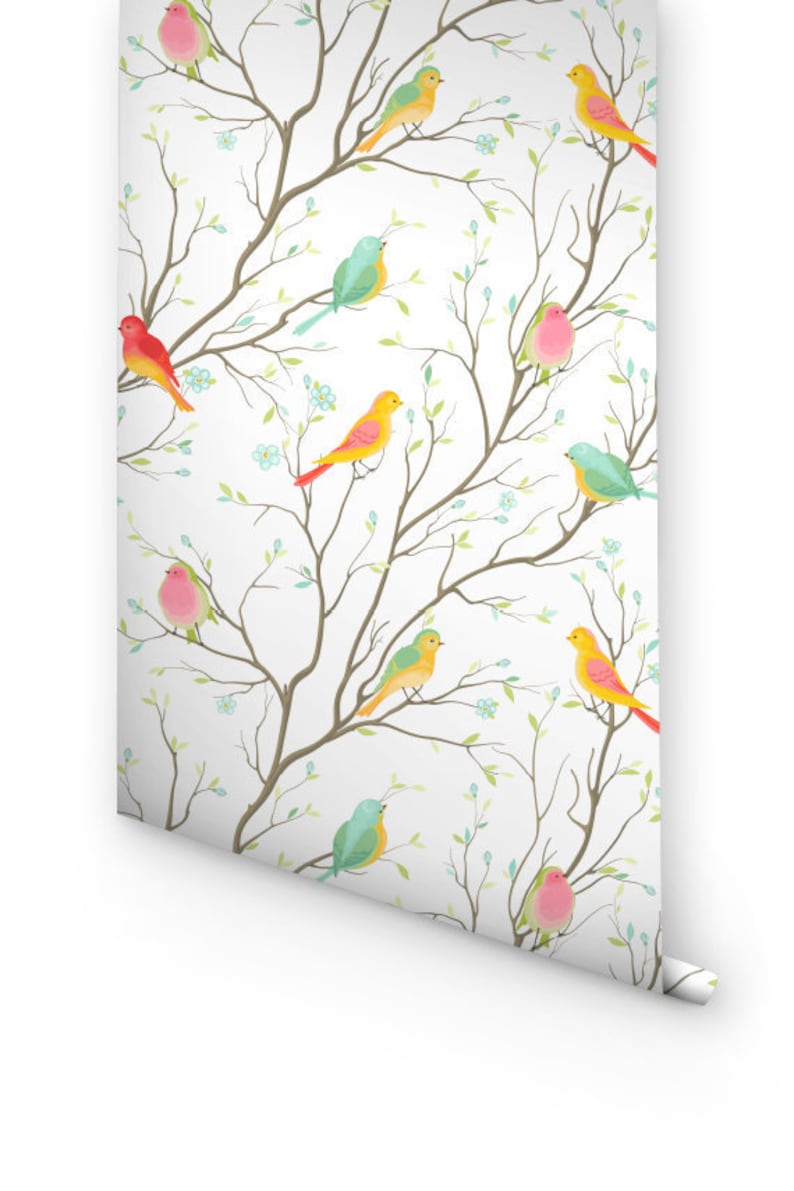 Papel pintado con estampado de pájaros de colores, Papel pintado extraíble con estampado de pájaros, Adhesivo de pared de pájaros de colores, Papel pintado de pájaros, 176 imagen 5