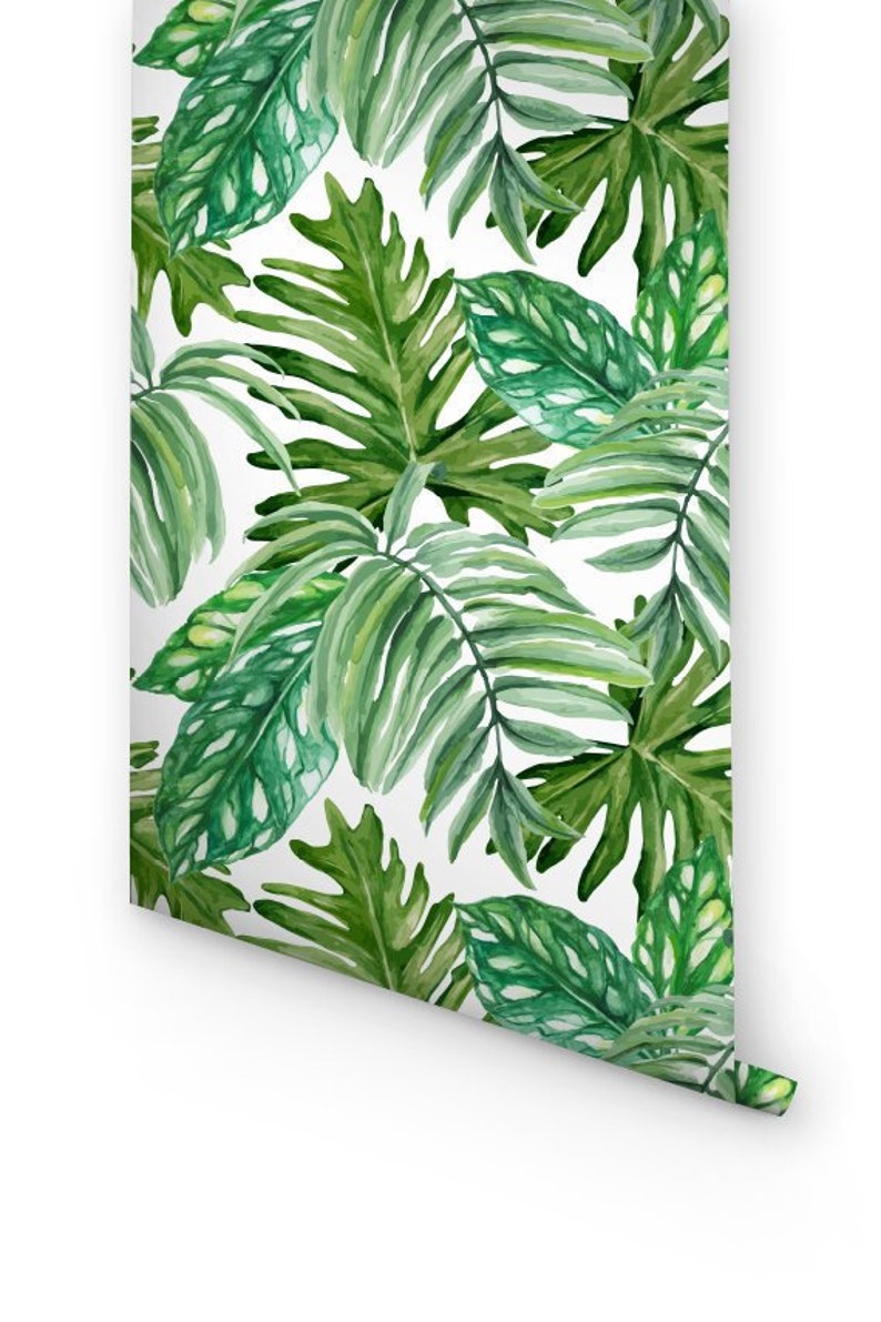 Wallpaper with Monstera leaves pattern, Removable Wallpaper, Monstera leaves Wallpaper, Exotic Wall Sticker, Tropical leaf prints, 102 image 6