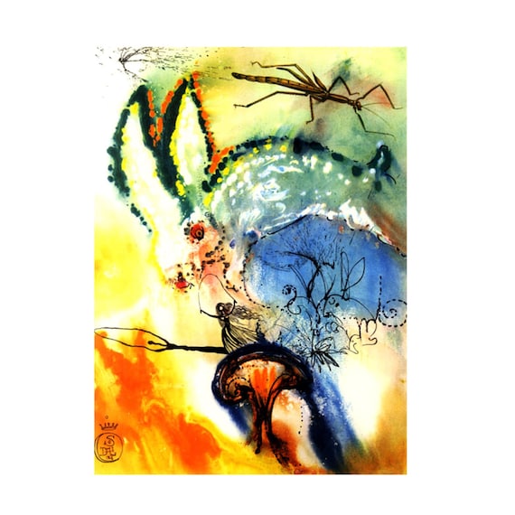 洋書 Alice's Adventures in Wonderland S Dali 洋書 Alice's Adventures in Wonderland S Dali Alice's