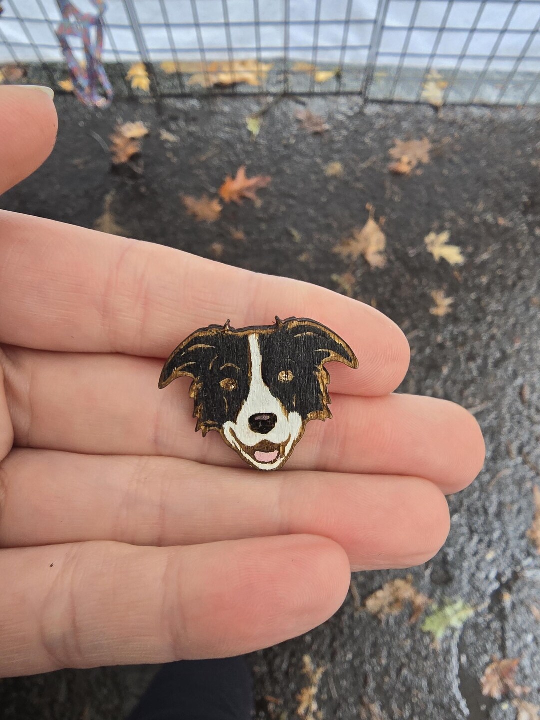 Breeding Pin Border Collie Pin-border Collie Pin-dog Head Pin-dog Breed Pin-border ...