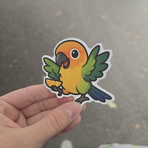 May include: A colorful sticker featuring a cartoon sun conure parrot. The bird has orange, yellow, green, and blue feathers, a black beak, and is holding a slice of orange. The sticker is held in a person's hand.