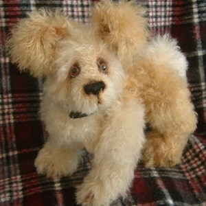 May include: A fluffy white and tan teddy bear with large floppy ears, sitting on a red and black checked blanket. The bear has a black collar and brown eyes.