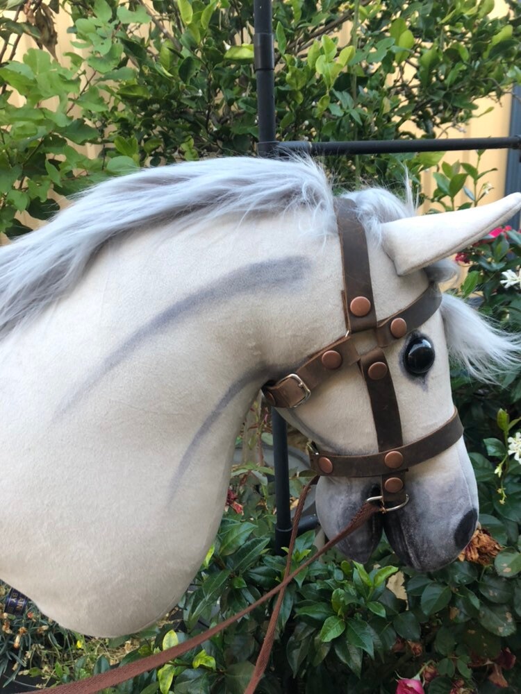 my hobby horses