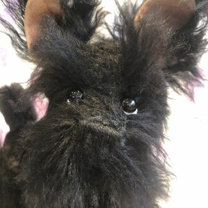 May include: Close-up of a black plush toy dog with brown ears and large black eyes. The dog has a fluffy, shaggy coat.