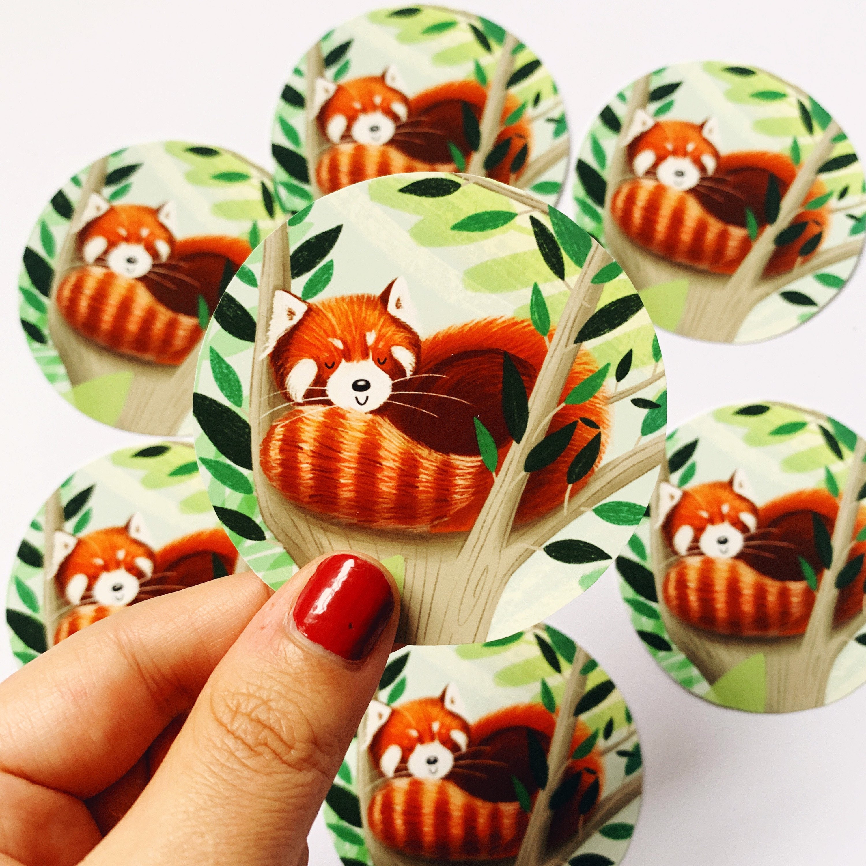 Red Panda Vinyl Gloss Laptop Sticker Cute Red Panda - Etsy UK