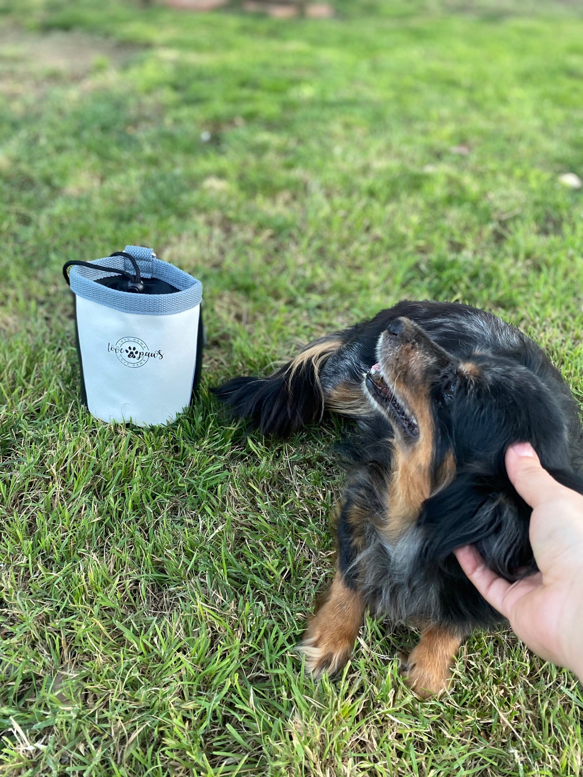 Dog Bag Dog Treat Bag Dog Travel Bag Dog Organizer Dog Etsy