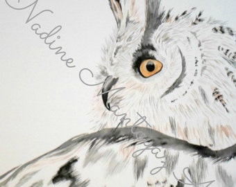 Horned Owl watercolor painting