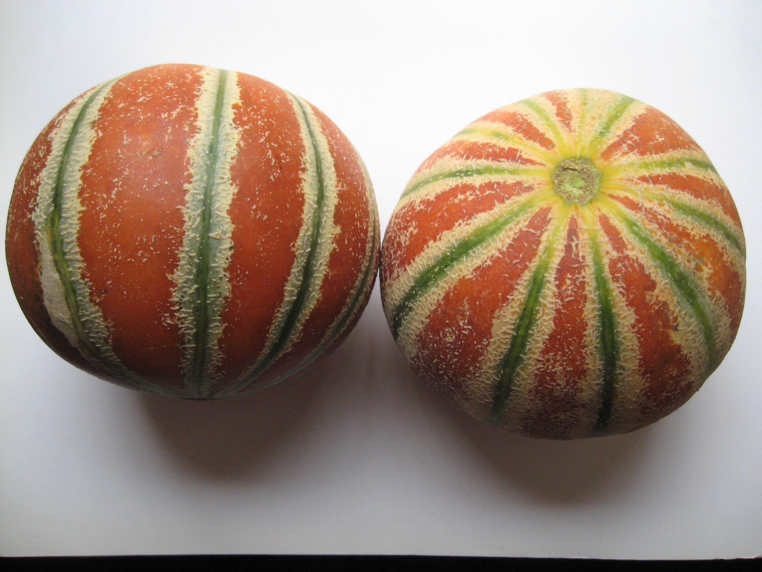 Kajari melon Kajri pronouced Kajarii 20 seeds free Etsy