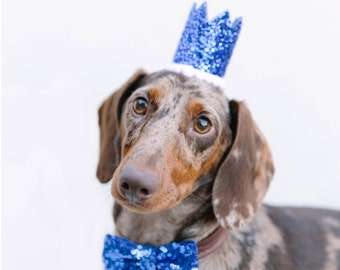 gift ideas for pets and pet lovers etsy