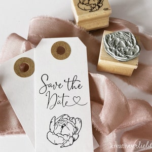 pistil peony, blossom