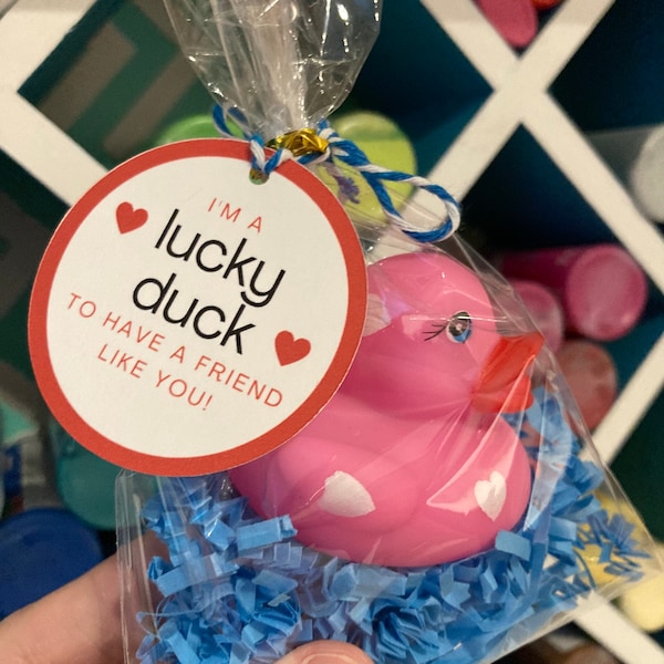 Custom Valentine Stickers: Lucky Duck Valentine's Day / Rubber Ducky Card Tags Favors Bag Supplies / Classroom Class Idea Template Download