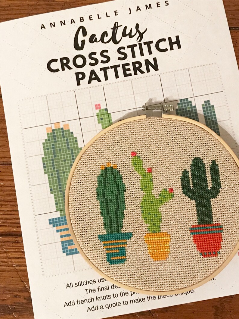 Beginner Cross Stitch Kit Cactus // Custom Embroidery Pattern Etsy