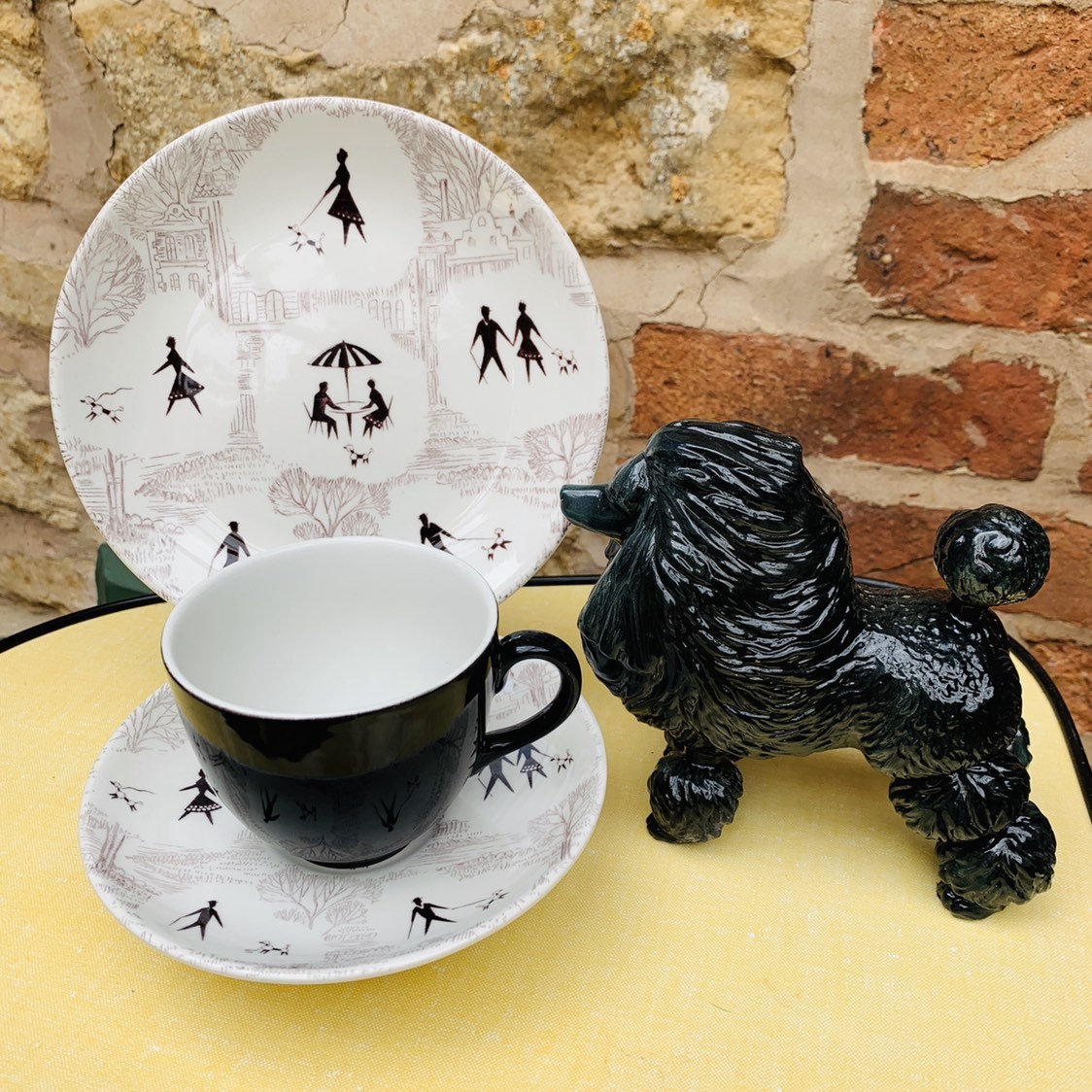 Swinnertons Springtime Poodle Design Tea Set in Black and White