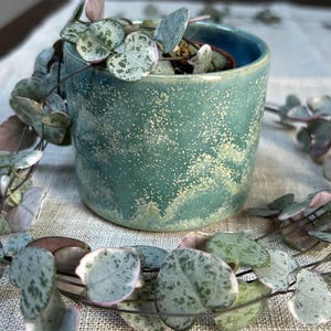 Small ceramic plant pot