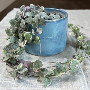 Ceramic plant pot