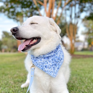 Dog charms bandanas store