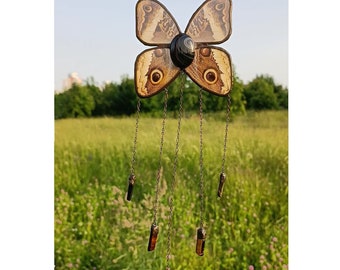 Wall hanging real butterfly encased between glass